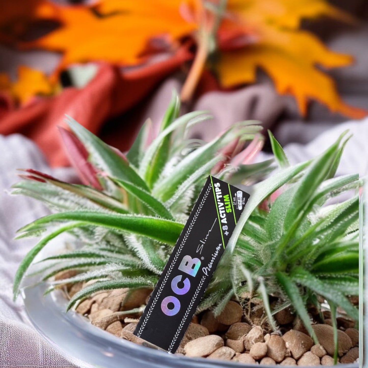 OCB Slim Paper & Activ Tip