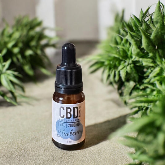 CBD Pflege- Öl 20% Blueberry