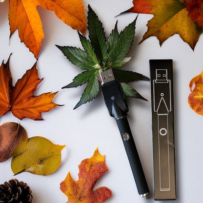 CCELL M3 Akkuträger Kit in Schwarz