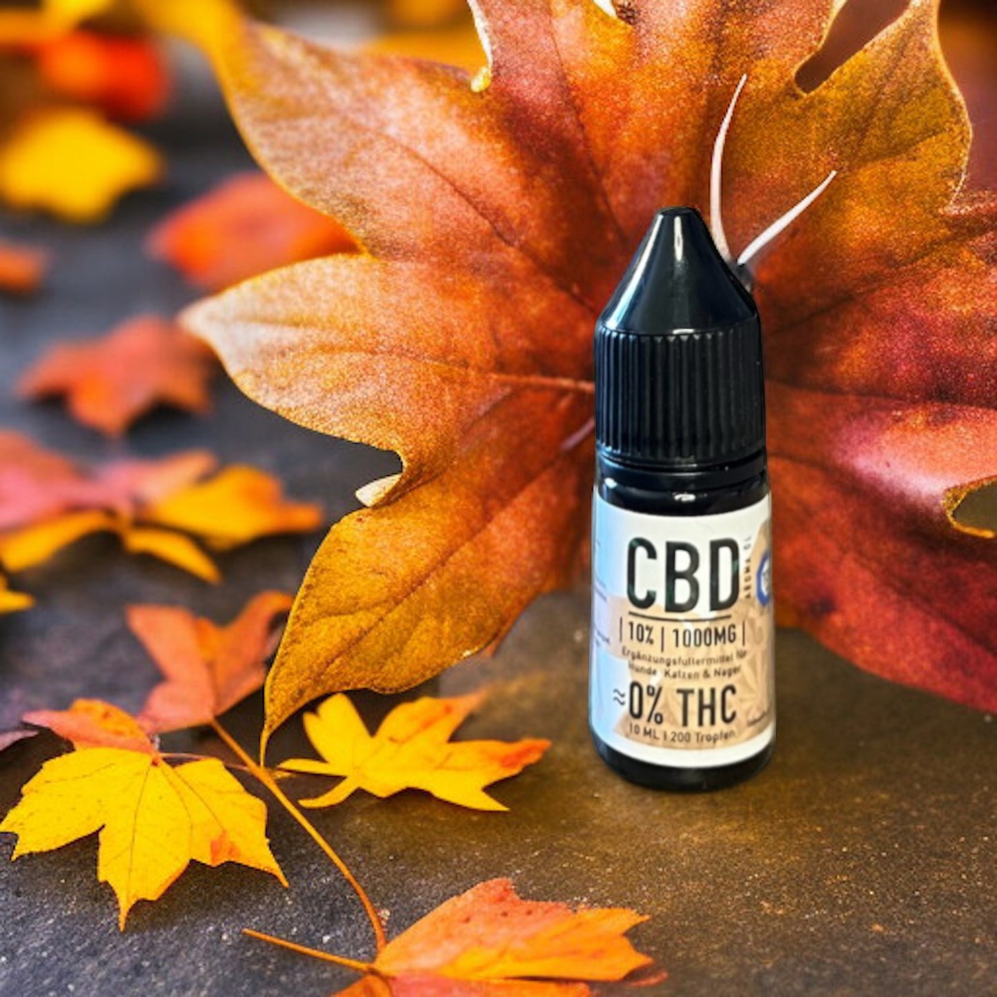 CBD für Tiere