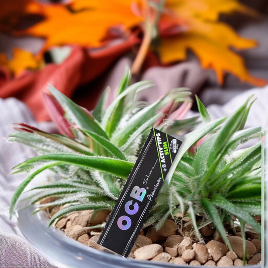 OCB Slim Paper & Activ Tip