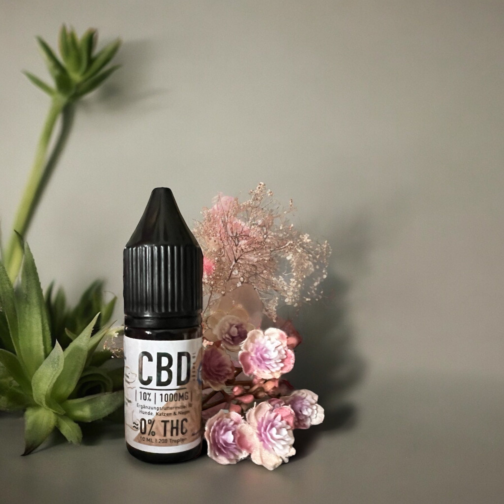 CBD für Tiere